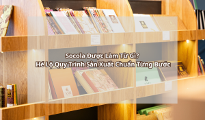 Socola Được Làm Từ Gì Hé Lộ Quy Trình Sản Xuất Chuẩn Từng Bước