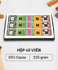 HỘP SÔ-CÔ-LA 65% CACAO (45 viên - 225g)
