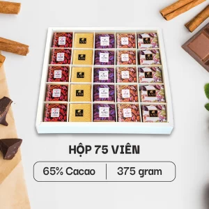 HỘP SÔ-CÔ-LA 65% CACAO (75 viên - 375g)