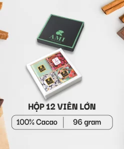 SÔ-CÔ-LA 100% CACAO (Mẫu 7) (12 viên lớn - 96g)