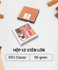 SÔ-CÔ-LA 65% CACAO (Mẫu 7) (12 viên lớn - 96g)