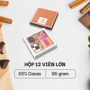 SÔ-CÔ-LA 65% CACAO (Mẫu 7) (12 viên lớn - 96g)